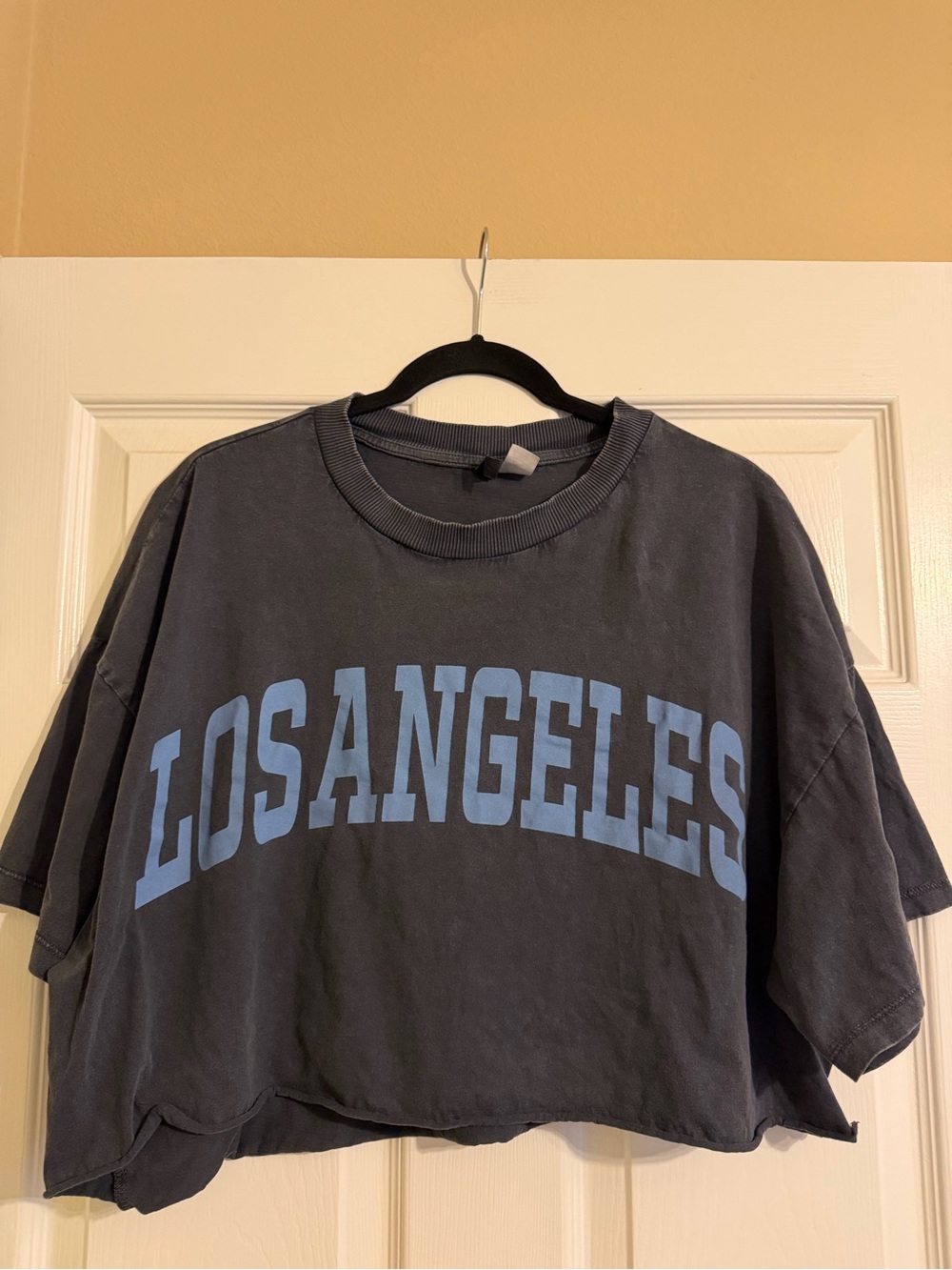 H&M Divided Los Angeles Oversize Ultra Crop Graphic Tee Gray